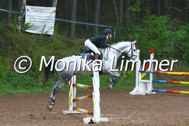 005L4620_Diamond Dancer_Springpferde A xx.JPG